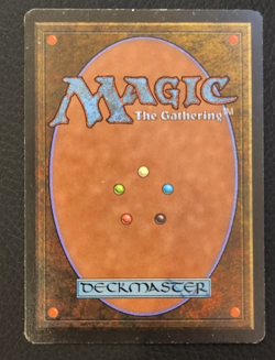MTG Savannah - LP/SP - Magic the Gathering Revised - Image 2