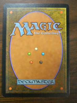 MTG Portal 2 Second Age Wildfire Red Rare NM Condition - Image 2