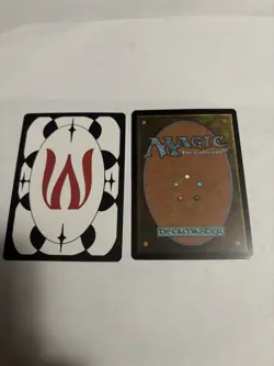 Wasteland #23 Regular Rare Near Mint Secret Lair Drop Series Encyclopedia MTG - Image 2