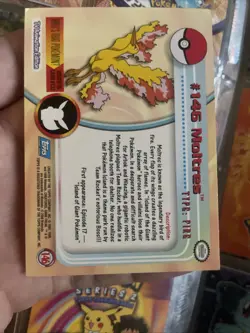 Topps Pokemon TV Animation Blue Logo 1st Edition Mint Non Holo #146 Moltres - Image 2