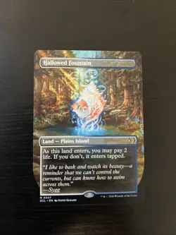 Hallowed Fountain - R0347 Reg (Borderless) Lorwyn Eclipsed - MTG - NM - Image 1