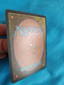 Lotus Petal, Tempest, Regular Common, MTG - Image 3