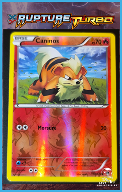 Carte Pokemon Caninos 10/122 Reverse NEUVE XY09 XY Rupture Turbo FR XY9 - Image 1