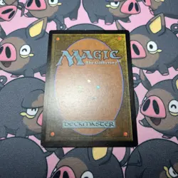Nature's Lore MTG Core Set 5th Edition Regular - Image 4