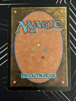 1x Western Paladin (173) 8th Eighth Edition MP MTG Magic the Gathering x1 MKE - Image 2