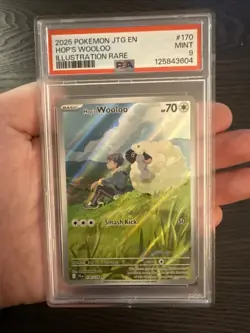 Hop’s Wooloo 170/159 Illustration Rare 2025 Pokemon Journey Together PSA 9 Mint - Image 3