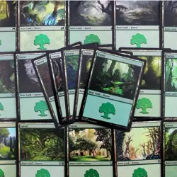 Magic: the Gathering Basic Lands 1,000 Forests Cards 636996769180 - Image 1