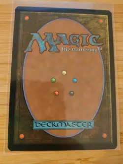 MTG Rimewood Falls 266 Kaldheim M/NM Free UK P&P - Image 2