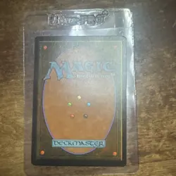 Wizards of the Coast Magic: The Gathering Taiga Land Card Green Red Rob Alexand. - Image 2