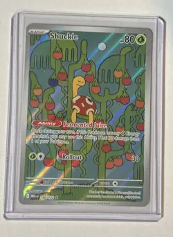 Shuckle 136/132 - Pokemon TCG Mega Evolution Illustration Rare IR NM EN - Image 1
