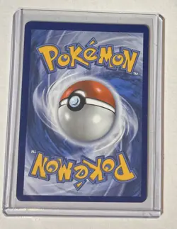 Shuckle 136/132 - Pokemon TCG Mega Evolution Illustration Rare IR NM EN - Image 2