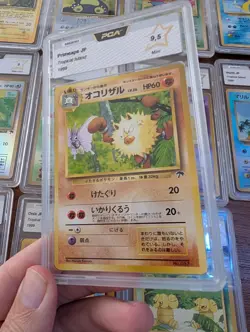 1999 Primeape Southern Tropical Islands PROMO Pokemon Japanese MINT PSA 9 🔥 - Image 1