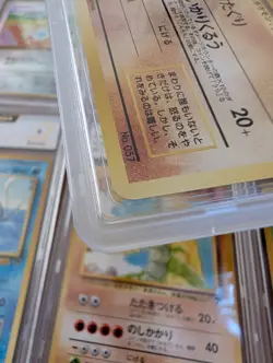 1999 Primeape Southern Tropical Islands PROMO Pokemon Japanese MINT PSA 9 🔥 - Image 5