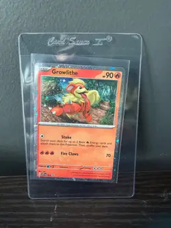 Growlithe - SVP024 - Cosmos Holo - Black Star Promo - Pokemon Card - NM/M - Image 1