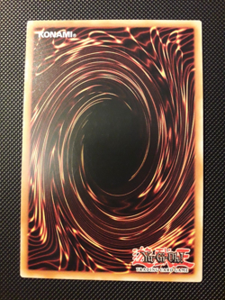 Yu-Gi-Oh! Hop Ear Squadron, MP20-EN164, Common, 1. Edition, Englisch, Near Mint - Image 4