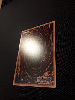 Yu-Gi-Oh! Hop Ear Squadron, MP20-EN164, Common, 1. Edition, Englisch, Near Mint - Image 5