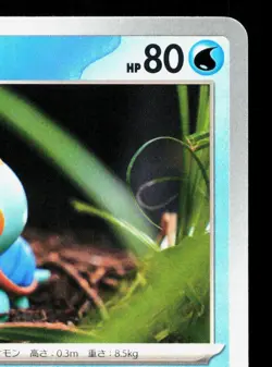 Chewtle 025/102 Stellar Miracle NM Japanese Pokemon Card TCG - Image 3