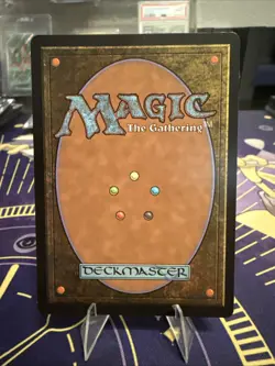 Training Grounds (Borderless) Avatar: The Last Airbender: Eternal-Legal Foil - Image 2