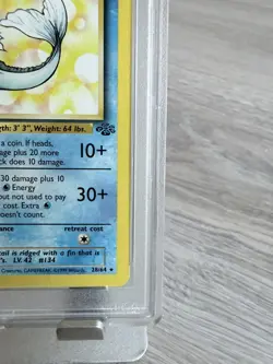 Pokemon Cards - PSA 10 1st Edition Vaporeon 28/64 - Jungle Set Non Holo - MINT - Image 3