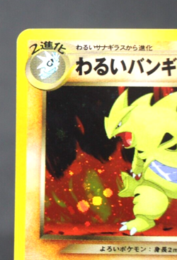 Dark Tyranitar No.248 Neo Destiny Japanese Pokemon Card Holo - Image 3
