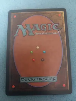 Meditate Tempest LP MTG - Image 2