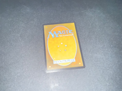 2021 Magic the Gathering Deserted Beach Land Midnight Hunt Near Mint - Image 2