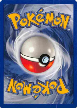 Piloswine 36/64 Uncommon Neo Revelation Pokemon LP - Image 2