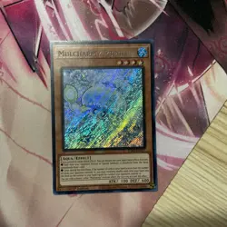 Mulcharmy Purulia INFO-EN027 The Infinite Forbidden 1st Edition - Image 1