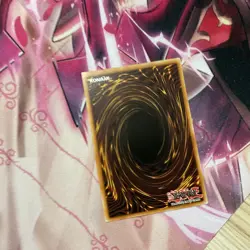 Mulcharmy Purulia INFO-EN027 The Infinite Forbidden 1st Edition - Image 2