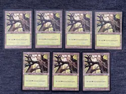 Forest x14 LP-MP Tempest MTG Magic the Gathering Basic Lands - Image 1