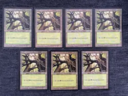 Forest x14 LP-MP Tempest MTG Magic the Gathering Basic Lands - Image 3