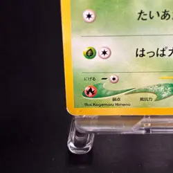 Chikorita No. 152 Neo Intro Pack Promo Half Deck Pokemon Card Japanese TCG - Image 4