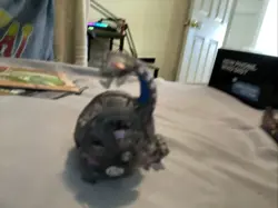 Bakugan Mixed Lot with Tsunami Card, Collectible Cards & Storage Cases - Image 5