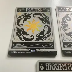 MTG Set Of 5 Basic Lands *Rainbow Foil* MagicCon Atlanta FIAB MT/NM Free Ship - Image 4