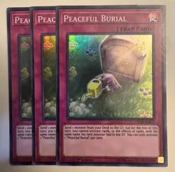 Peaceful Burial - CHIM-EN077 - Super Rare - 1st Edition x3 - Yugioh! - Image 1