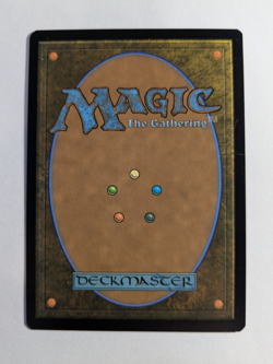 Hexing Squelcher #145 Regular Lorwyn Eclipsed Magic the Gathering MtG - Image 2