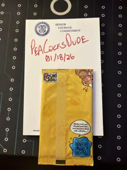 Pokidoki Burning Badlands First Edition Pack Fanmade Pokemon Parody Sealed NEW - Image 2