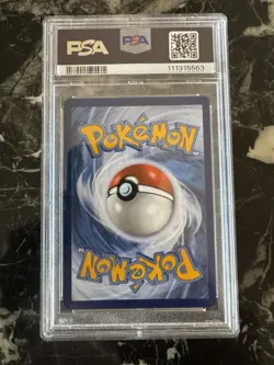 Pokemon TCG Horsea 067/064 Shrouded Fable Holo Illustration Rare PSA 10 - Image 2
