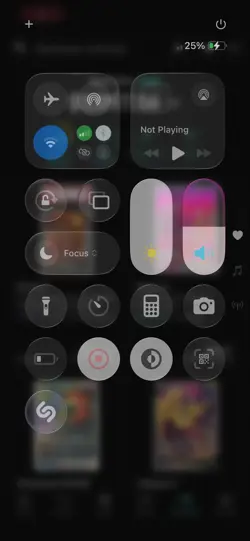 Pokemon Personnel Collection Binder Japanese/English Cards - Image 2