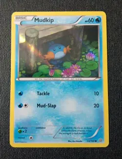 Pokemon TCG Card 2015 Primal Clash - Mudkip 33/160 Holo LP - Image 1