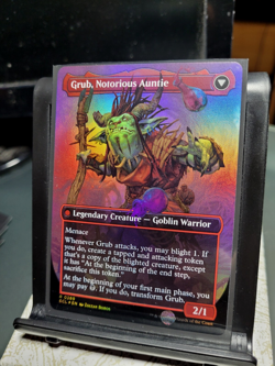 Lorwyn Eclipsed Grub, Storied Matriarch 0289, Borderless, NM, Foil, Ships Quick - Image 4