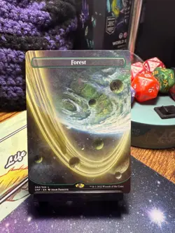 Forest (Borderless) Unfinity (Non-Foil), #244/244 - Image 1