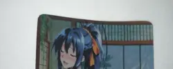 Highschool dxd Akeno Himejima waifu card - Image 1