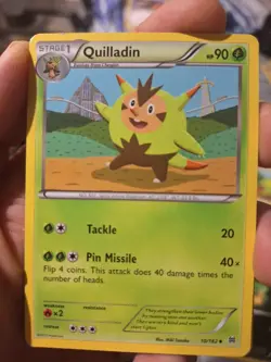 Quilladin 10/162 XY BREAKthrough 2015 English NM Non-Holo Pokemon TCG - Image 1