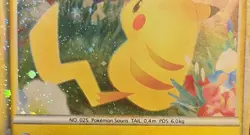 Pokemon TCG Pikachu World Collection PW Holo Promo French - Image 4