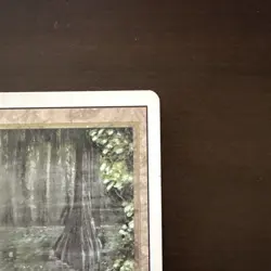 MTG: BAYOU - Revised - LP - Reserve List - Dual Land - CEDH Staple - - Image 3