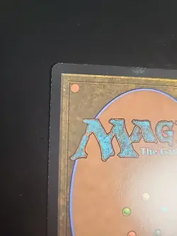 Multiversal Passage MTG Spider Man Regular Borderless R0206 NM - Image 5