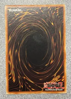 D.D. Warrior Lady MAGO-EN110 Maximum Gold Rare 1st Edition VLP - Image 3