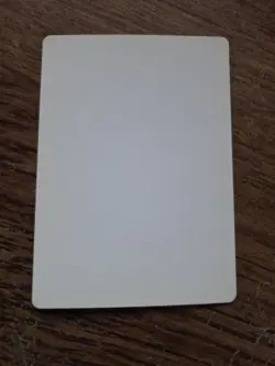 Hammerheim ARTIST PROOF Bryon Wackwitz Legends Set Magic the Gathering - Image 2