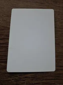 Wall Of Opposition ARTIST PROOF Harold McNeill Legends Set Magic the Gathering - Image 2